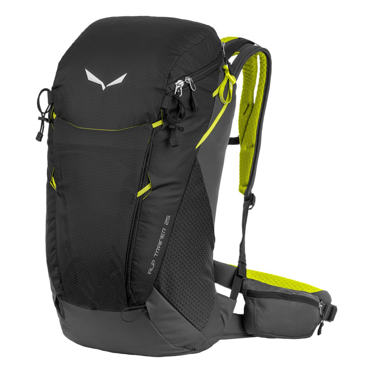 Salewa Alp Trainer 25L Backpacks Black HOL-096342